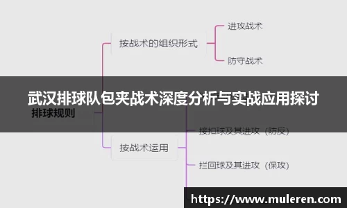 武汉排球队包夹战术深度分析与实战应用探讨