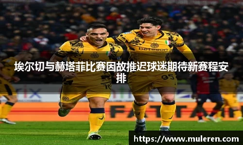 埃尔切与赫塔菲比赛因故推迟球迷期待新赛程安排